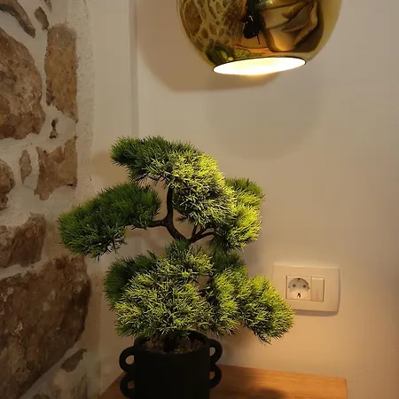 Centar - Mozzira Задар