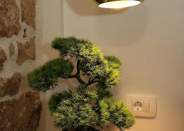 Centar - Mozzira Zara